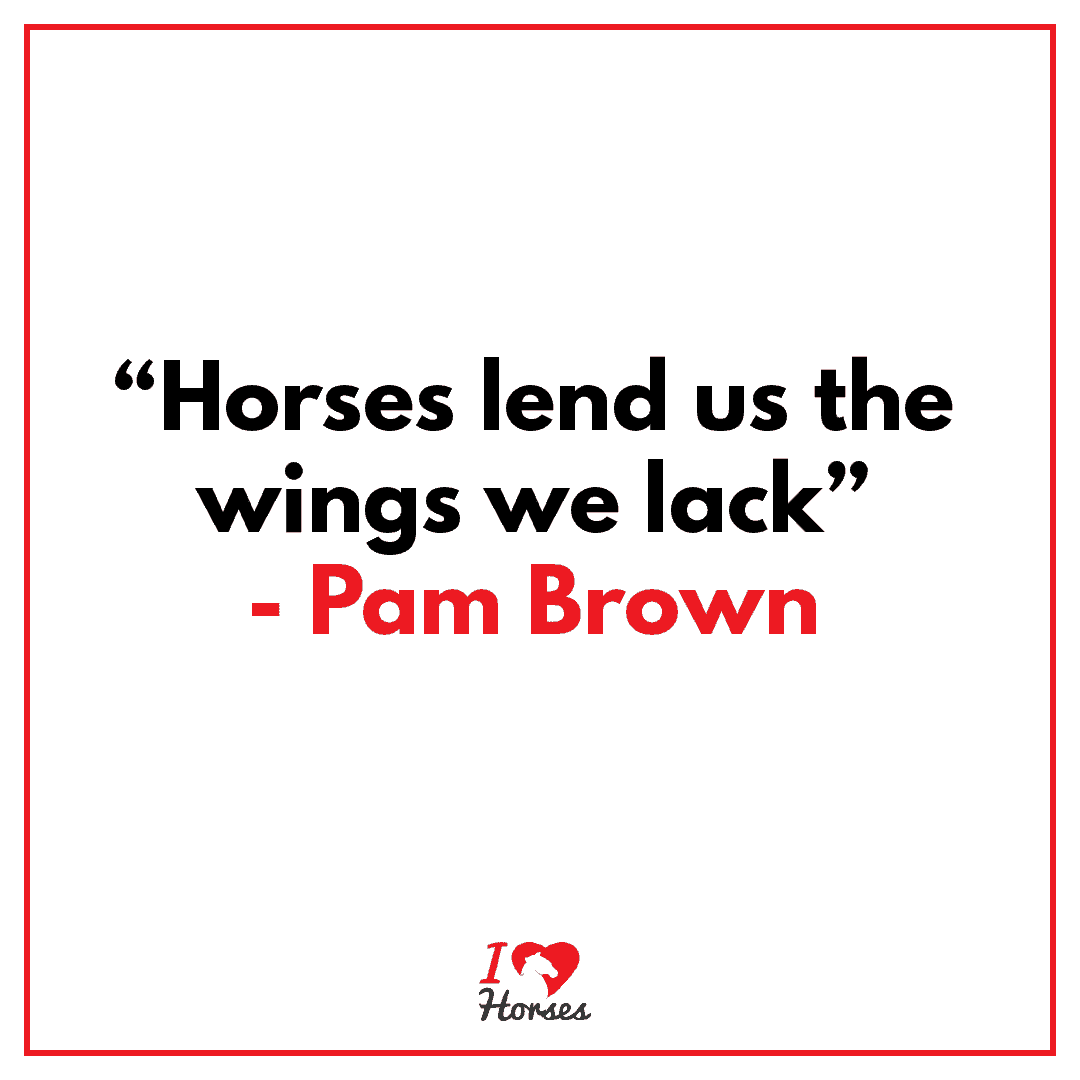 horses quote pam brown