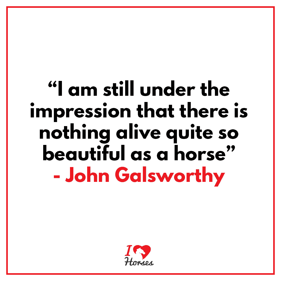 horse quote john galsworthy
