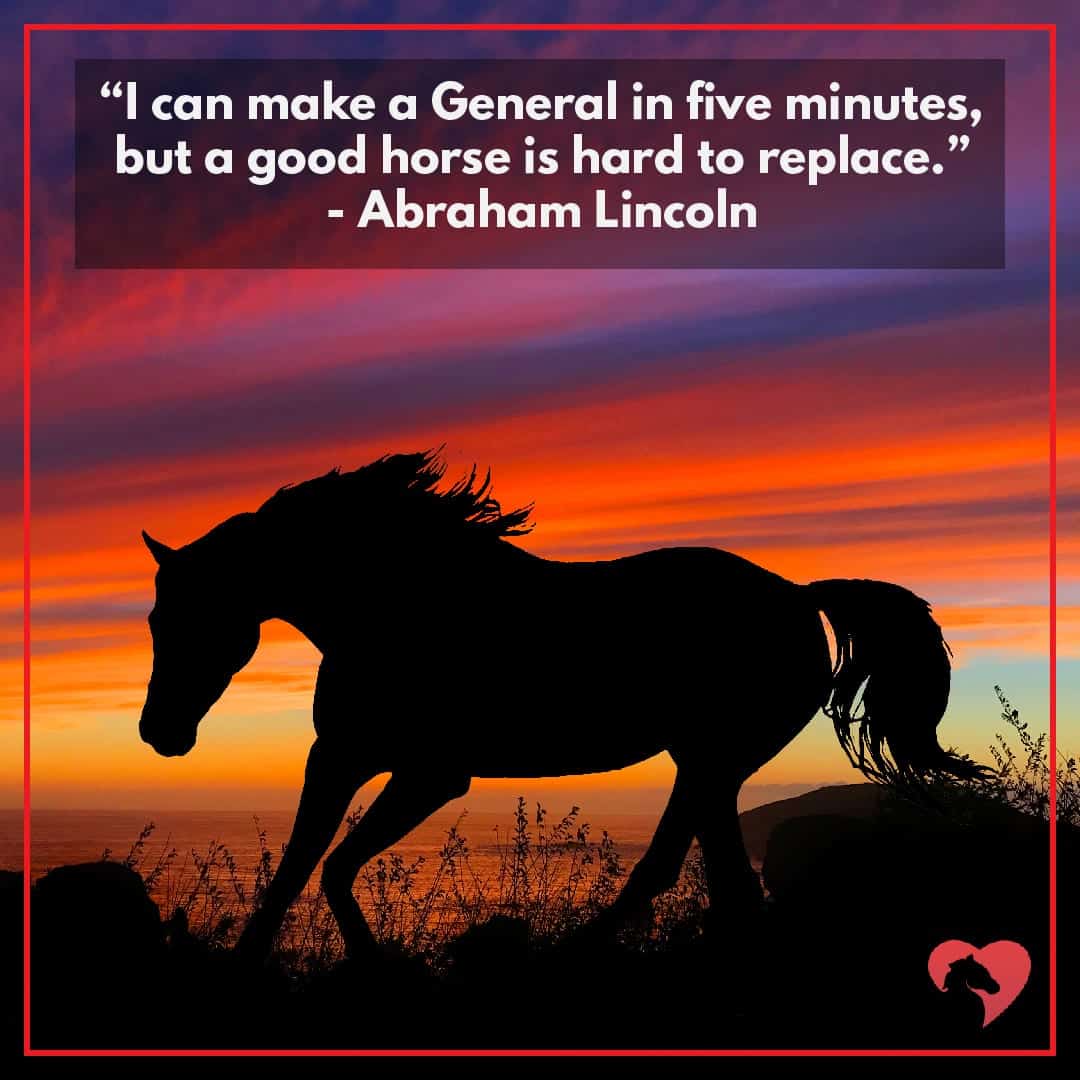 horse quote abraham lincoln
