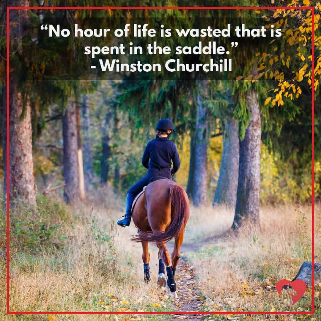 horse quotes no hour of life churchill