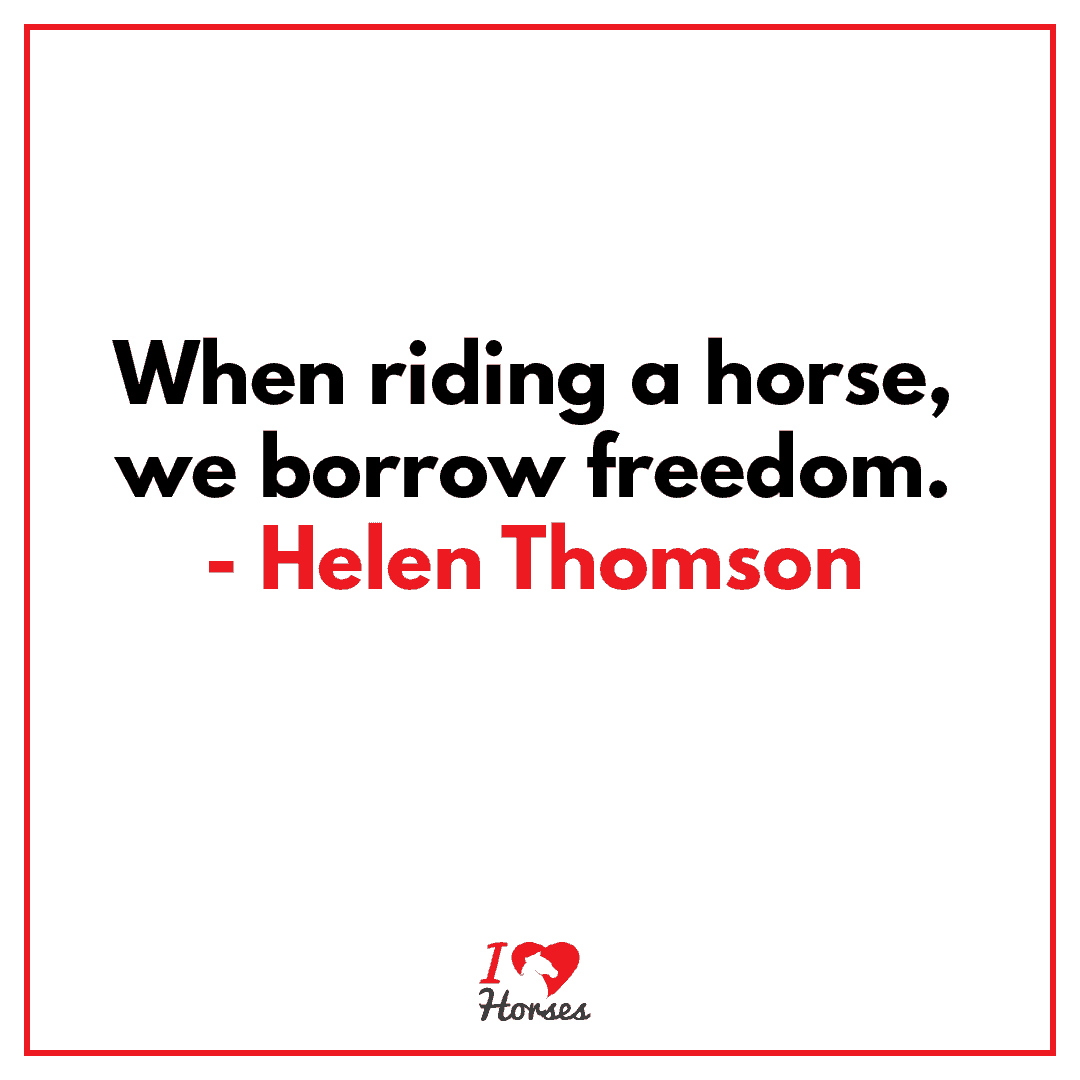 horse quote helen thomson