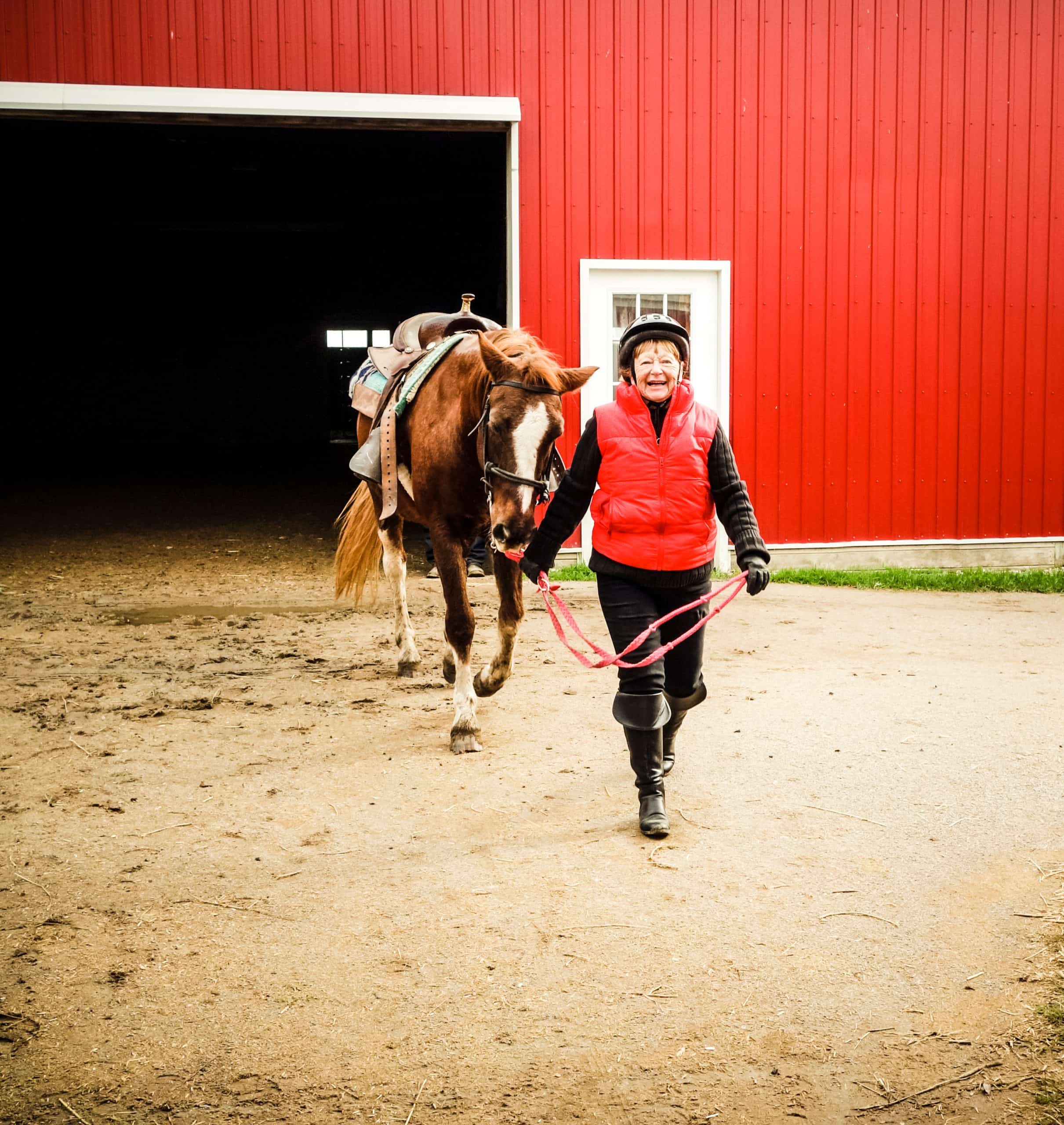 Senior citizen white woman in her 70's very pleased smiling as she is walking her horse from a  building with a large doorway.  She is wearing a red vest and protective riding gear and is holding the reins as she leads the horse from a red barn.  She is facing the camera with a big smile. There is a large dirt area in forefront for copy space.