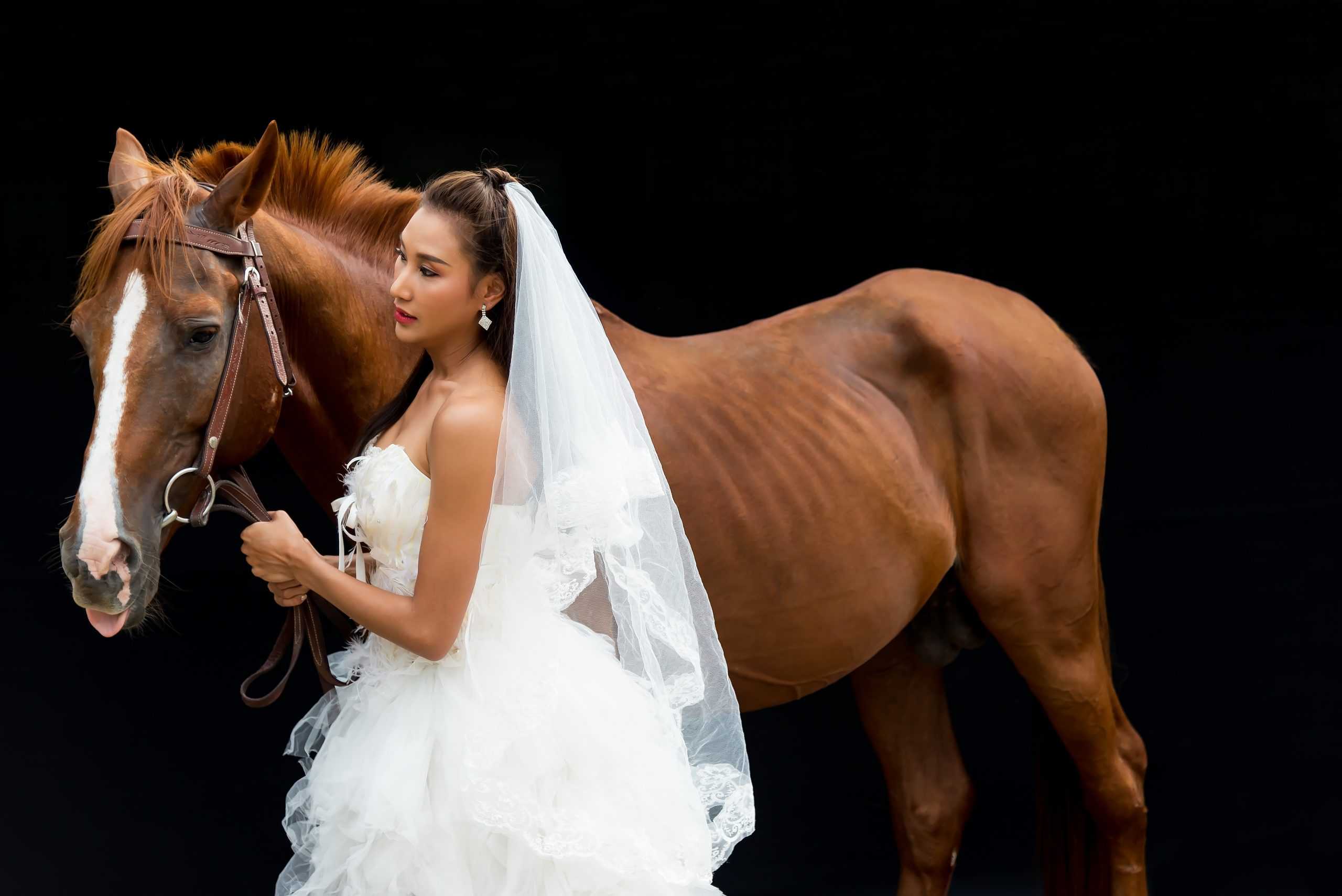 Beautiful bride with black horse wedding