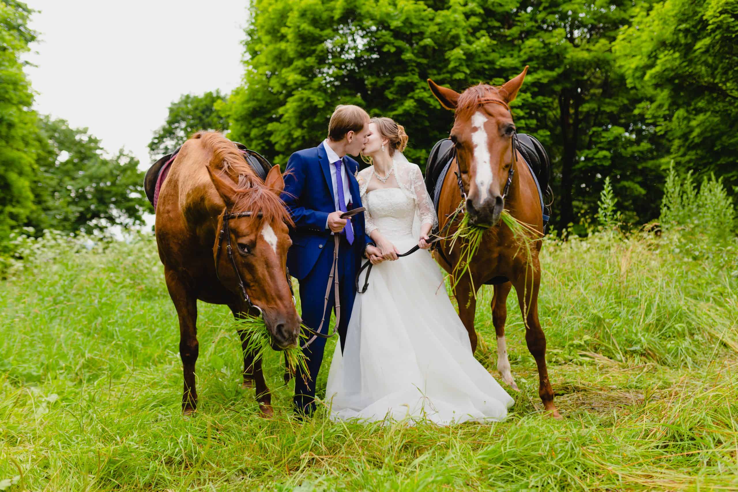 Beautiful newlyweds with two horses in the park on the background of a summer nature