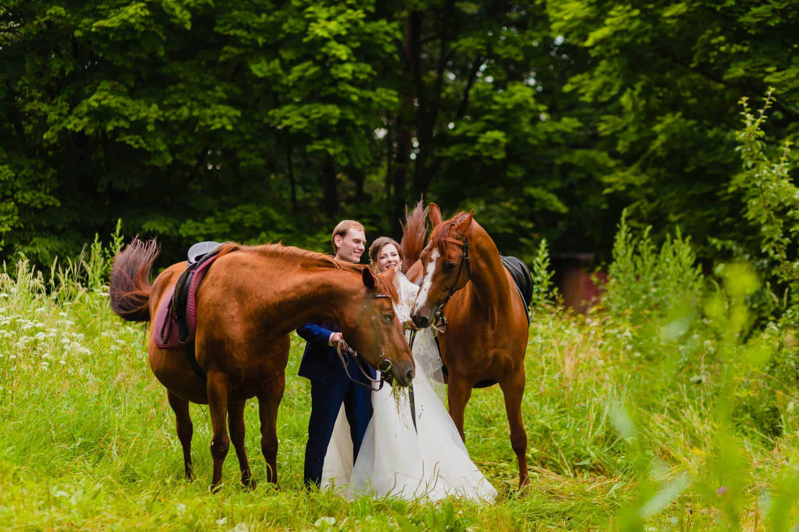 Beautiful newlyweds with two horses in the park on the background of a summer nature