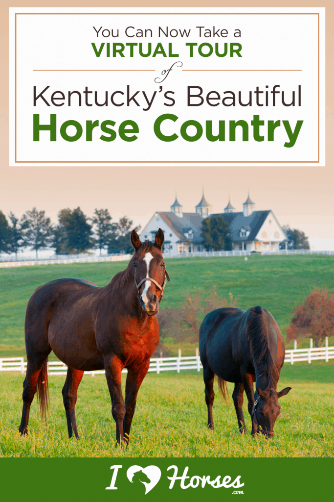 You Can Now Take A Virtual Tour Of Kentucky's Beautiful Horse Country