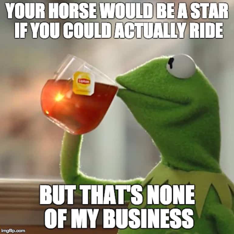 equestrian memes