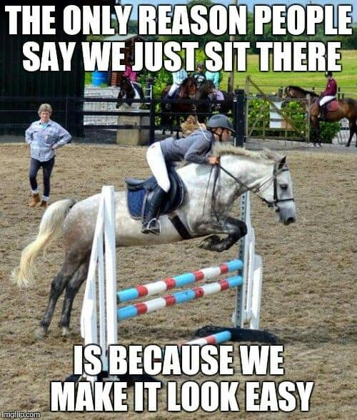 equestrian memes