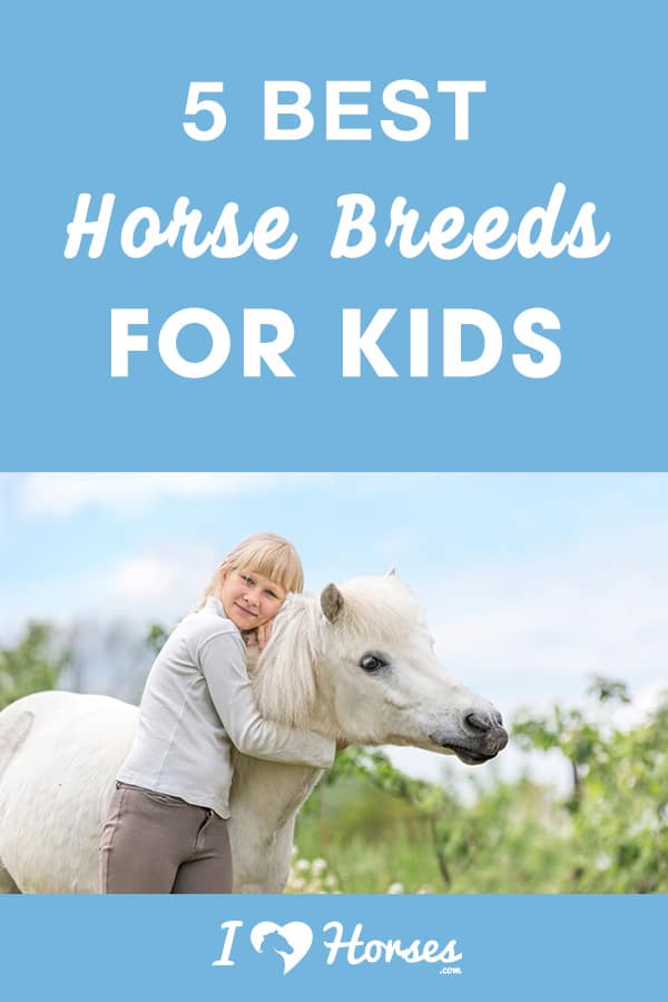 5 best horse breeds for kids