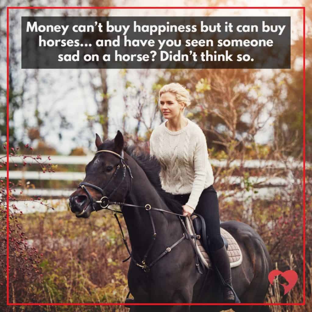 equestrian memes