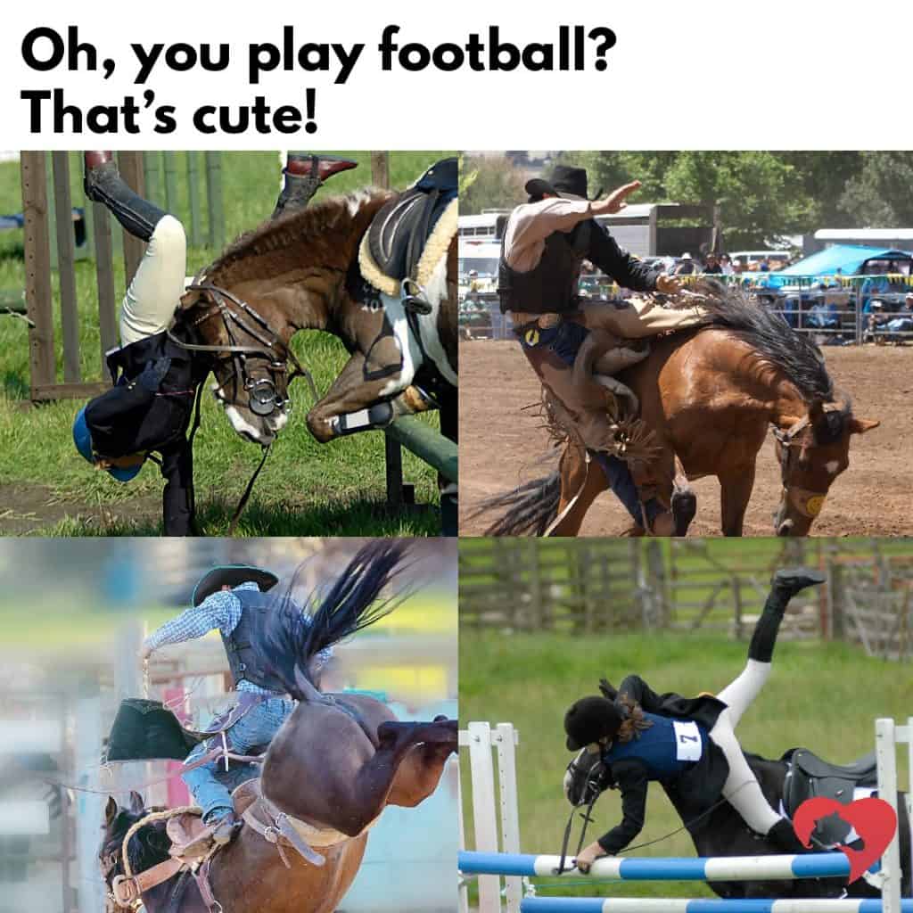 equestrian memes