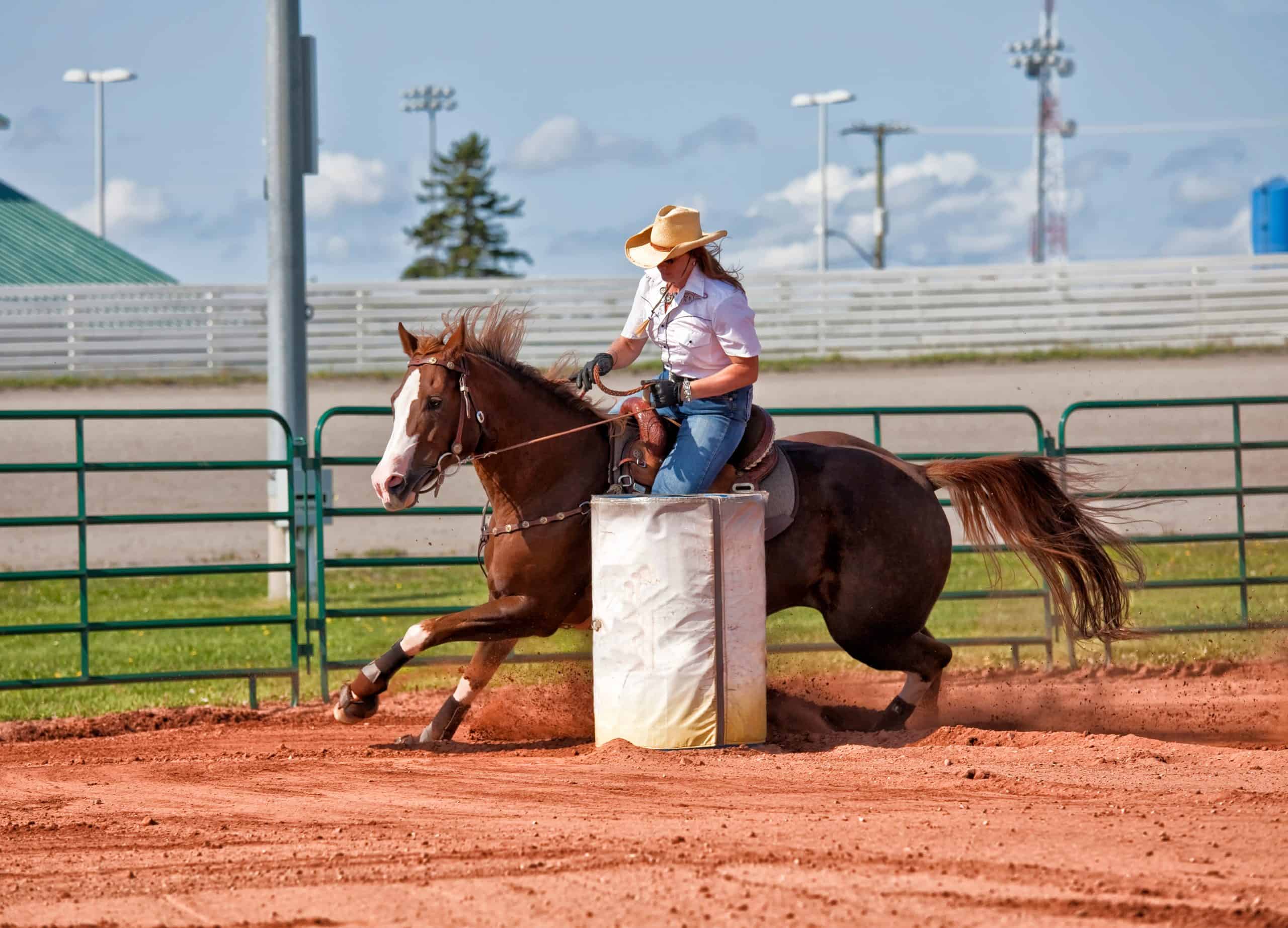 essays on barrel racing