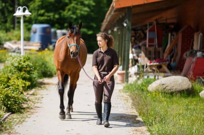 Rider with the horse are walking in a stable outdoors