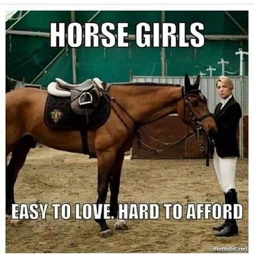 equestrian memes