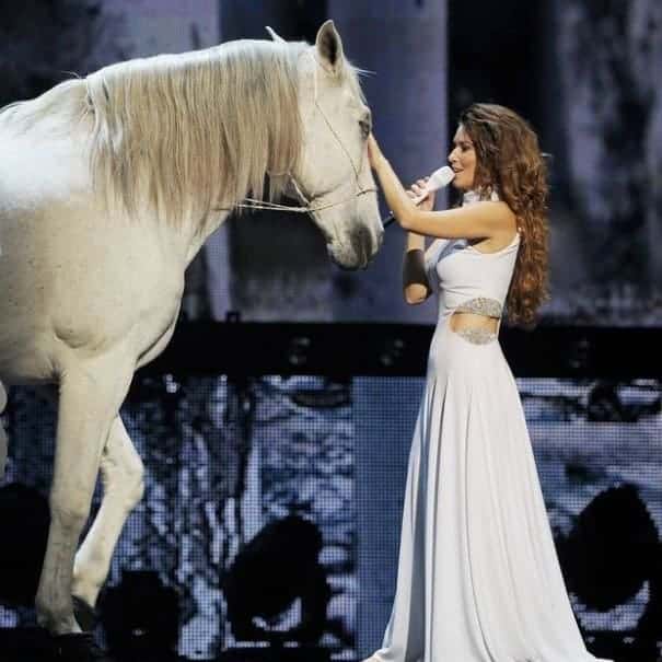 Shania Twain's horse