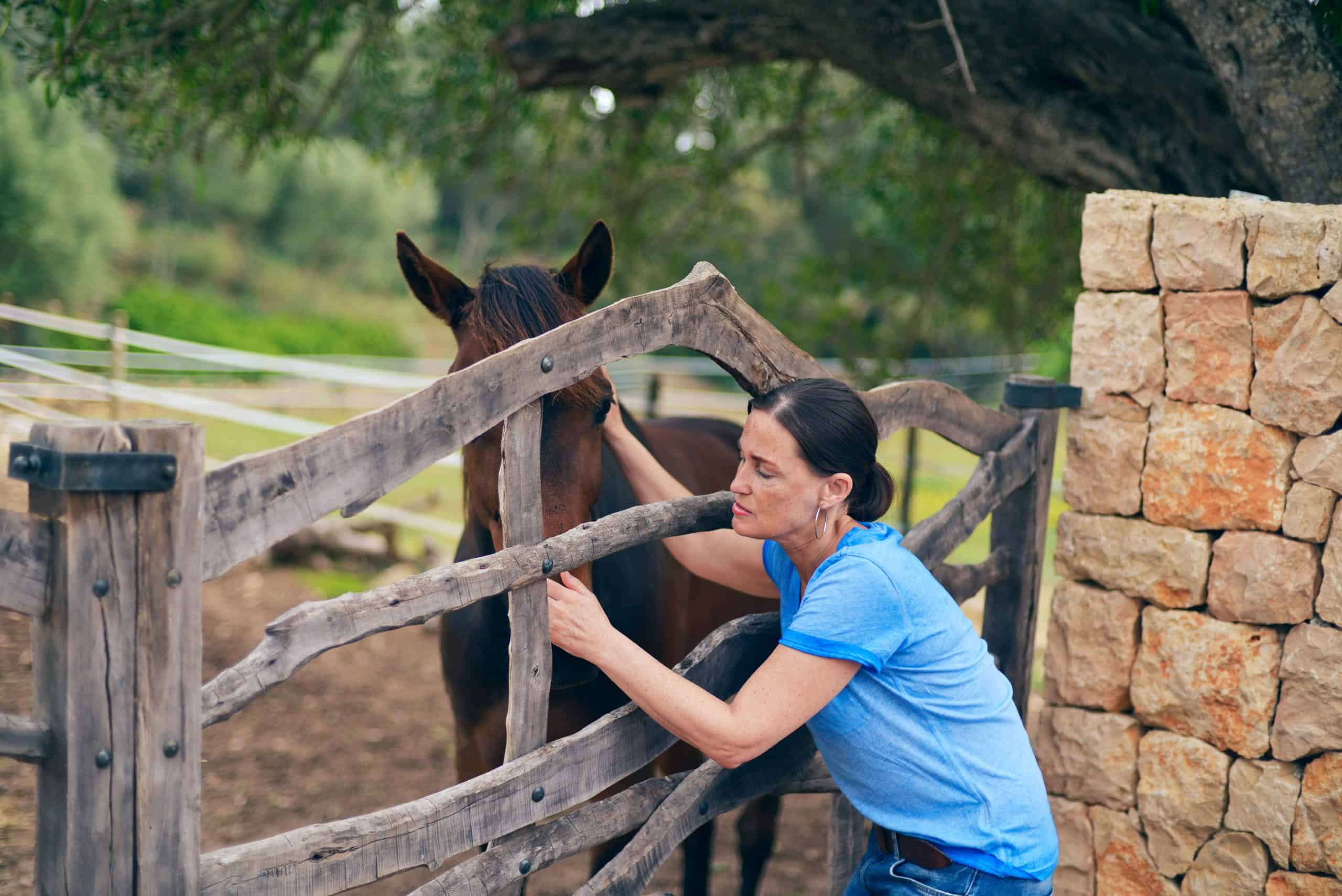 horses miss their owners