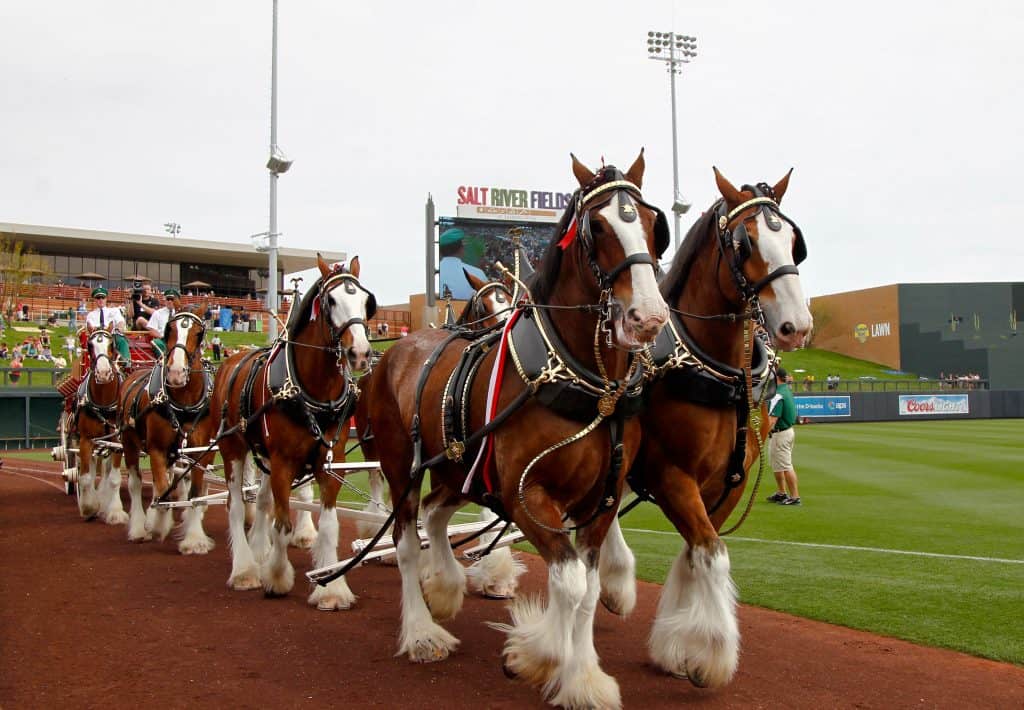 10 Strongest Horse Breeds In The World