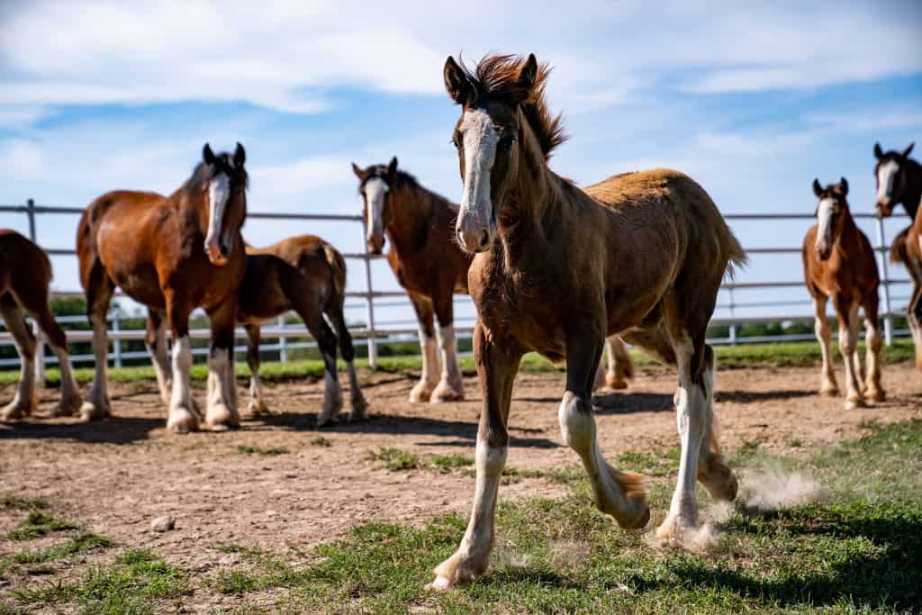 warm springs ranch