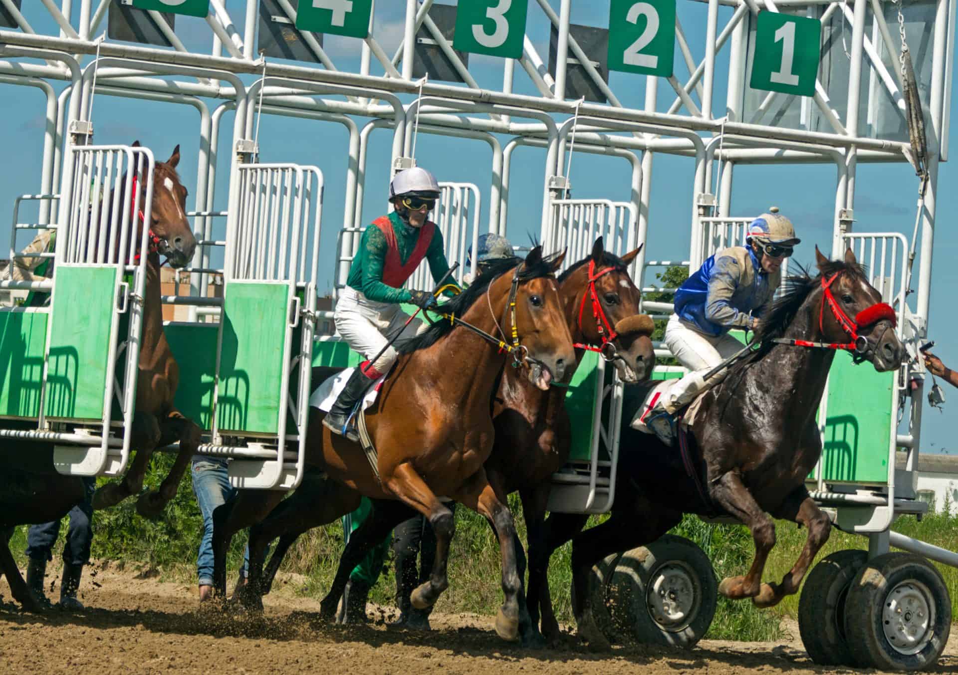 Is Horse Racing Cruel?