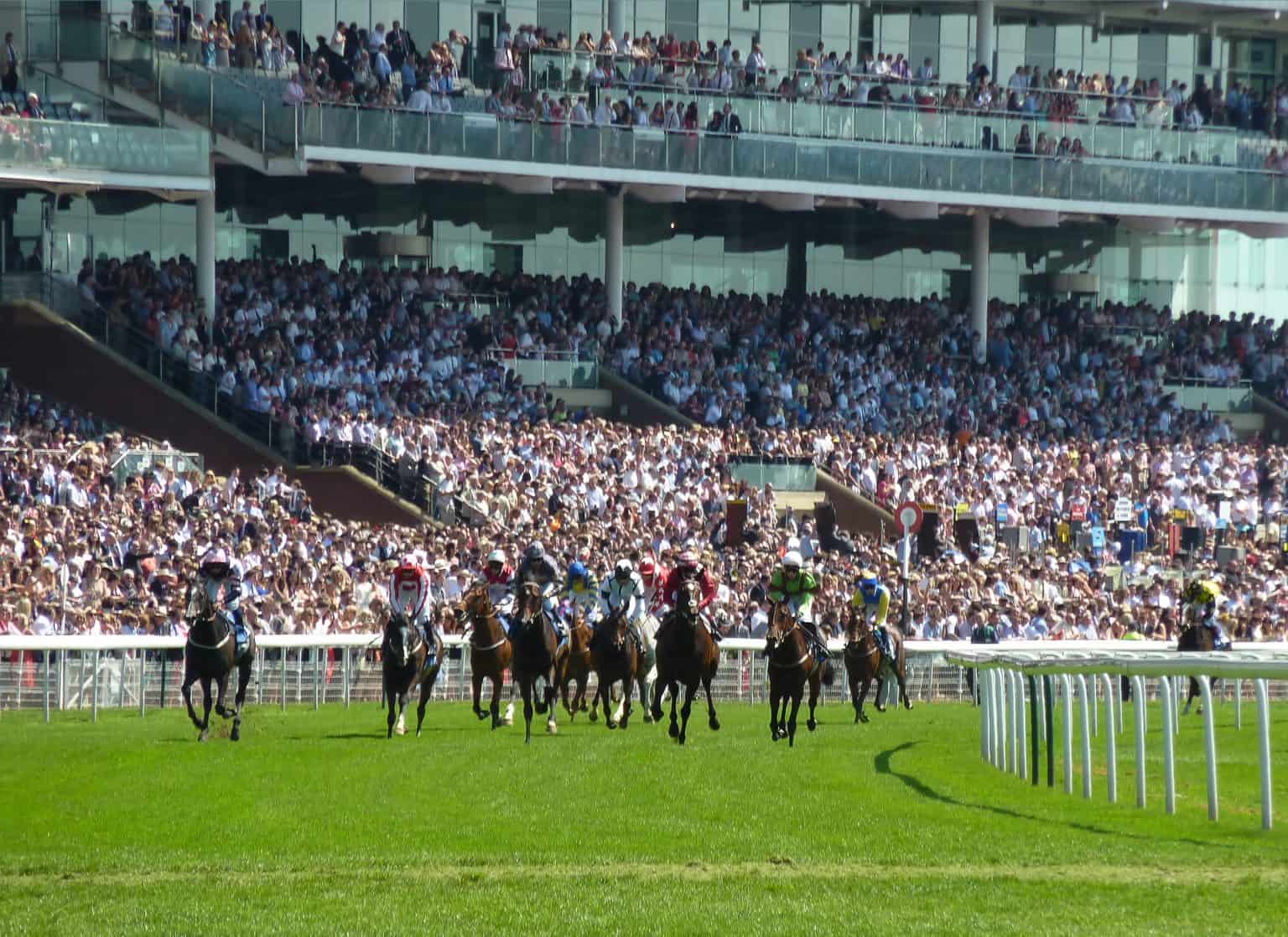 Is Horse Racing Cruel?