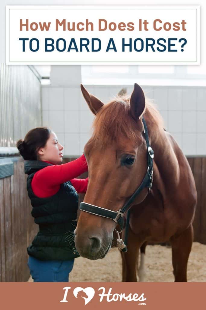 How Much Does It Cost To Board A Horse?