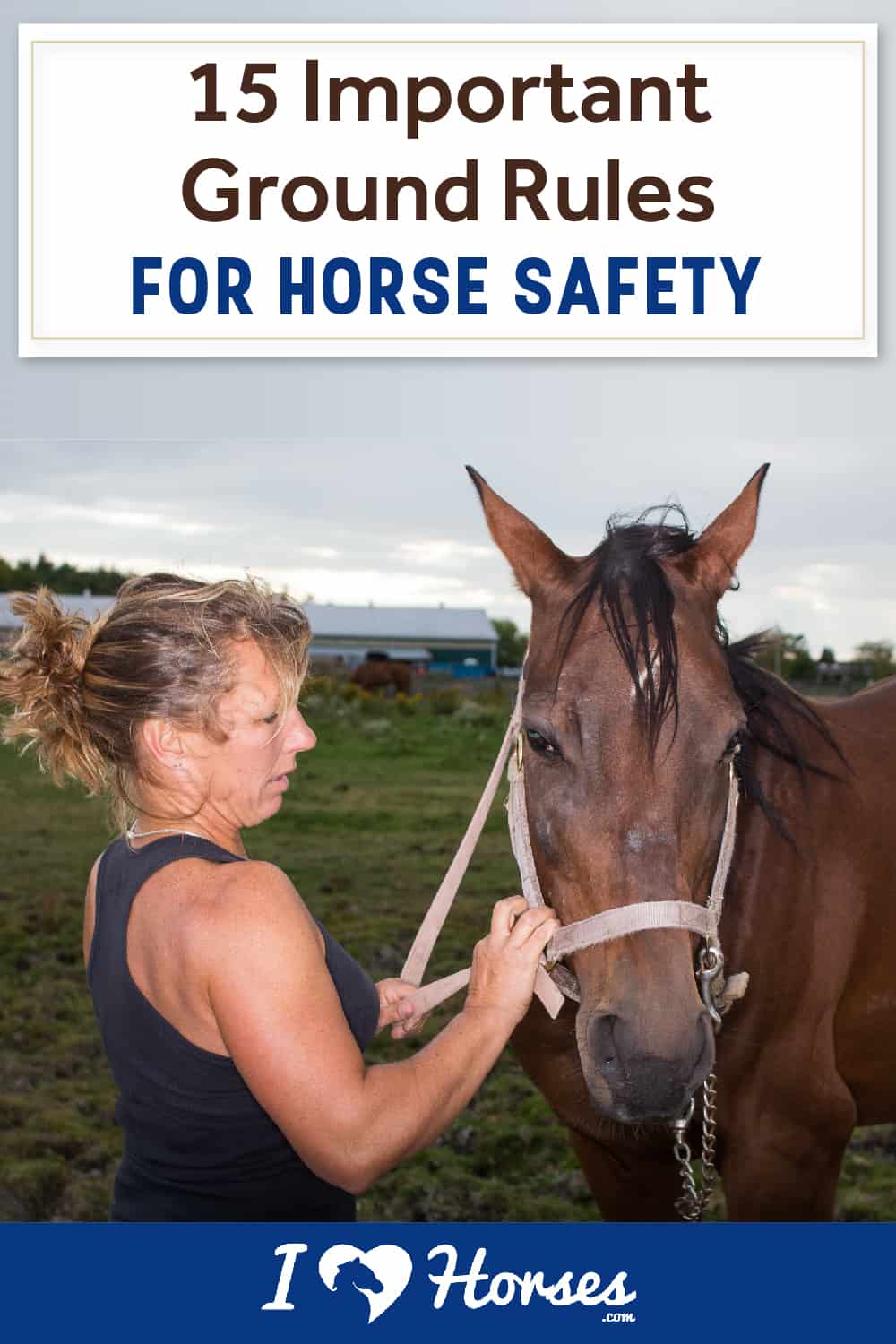 15 Important Ground Rules For Horse Safety