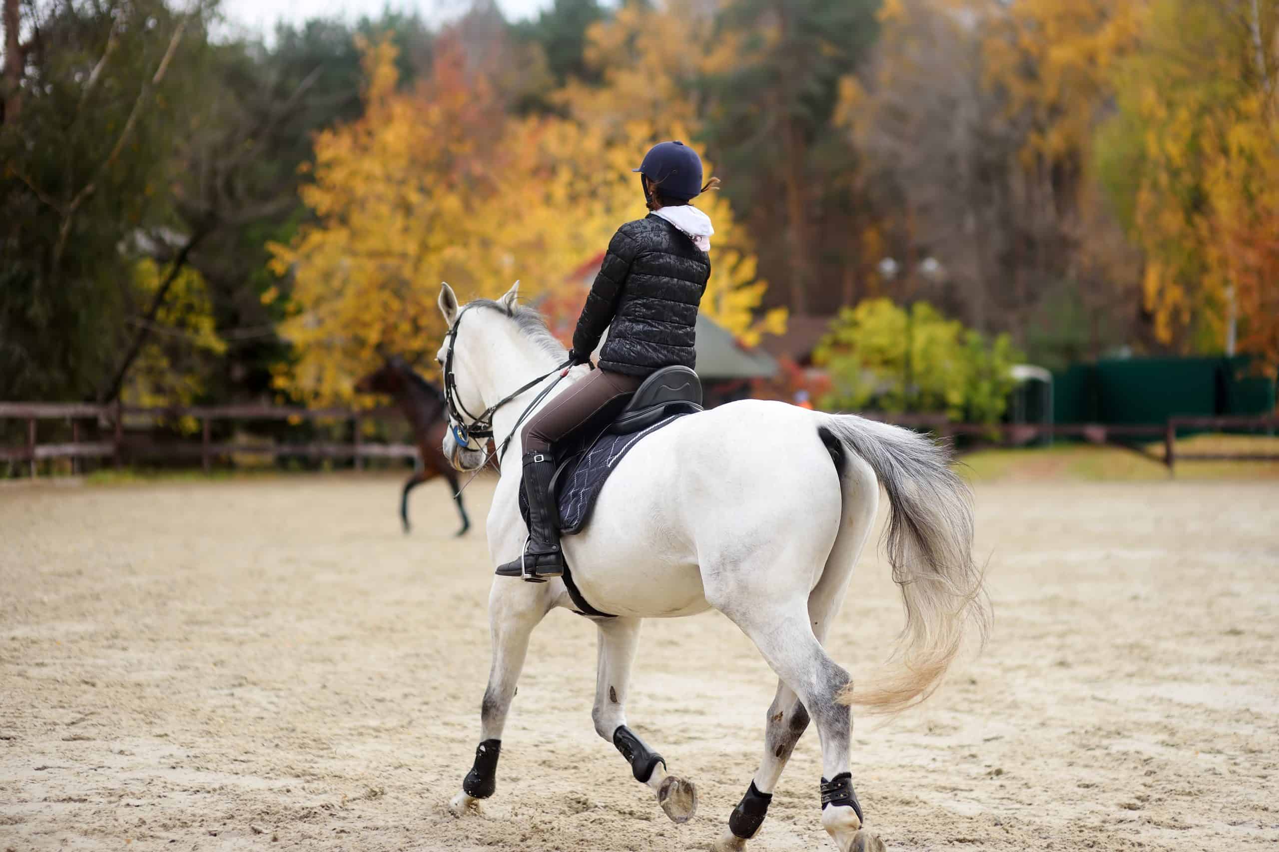 Girl rider trains in horse riding in equestrian club on autumn day. Unusual hobby of urban living.