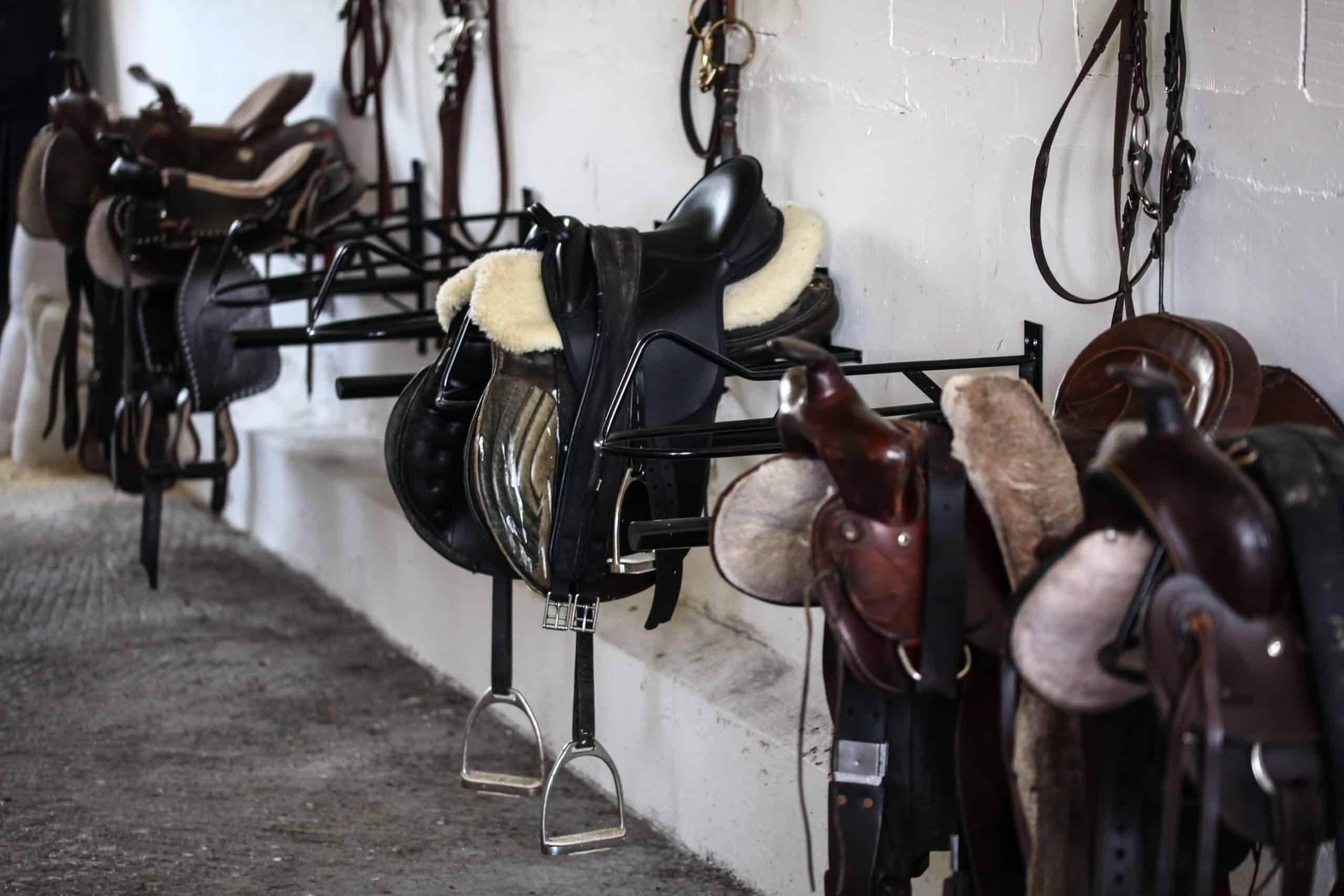 Leather horse saddles and equipment resting on hangers in tack room