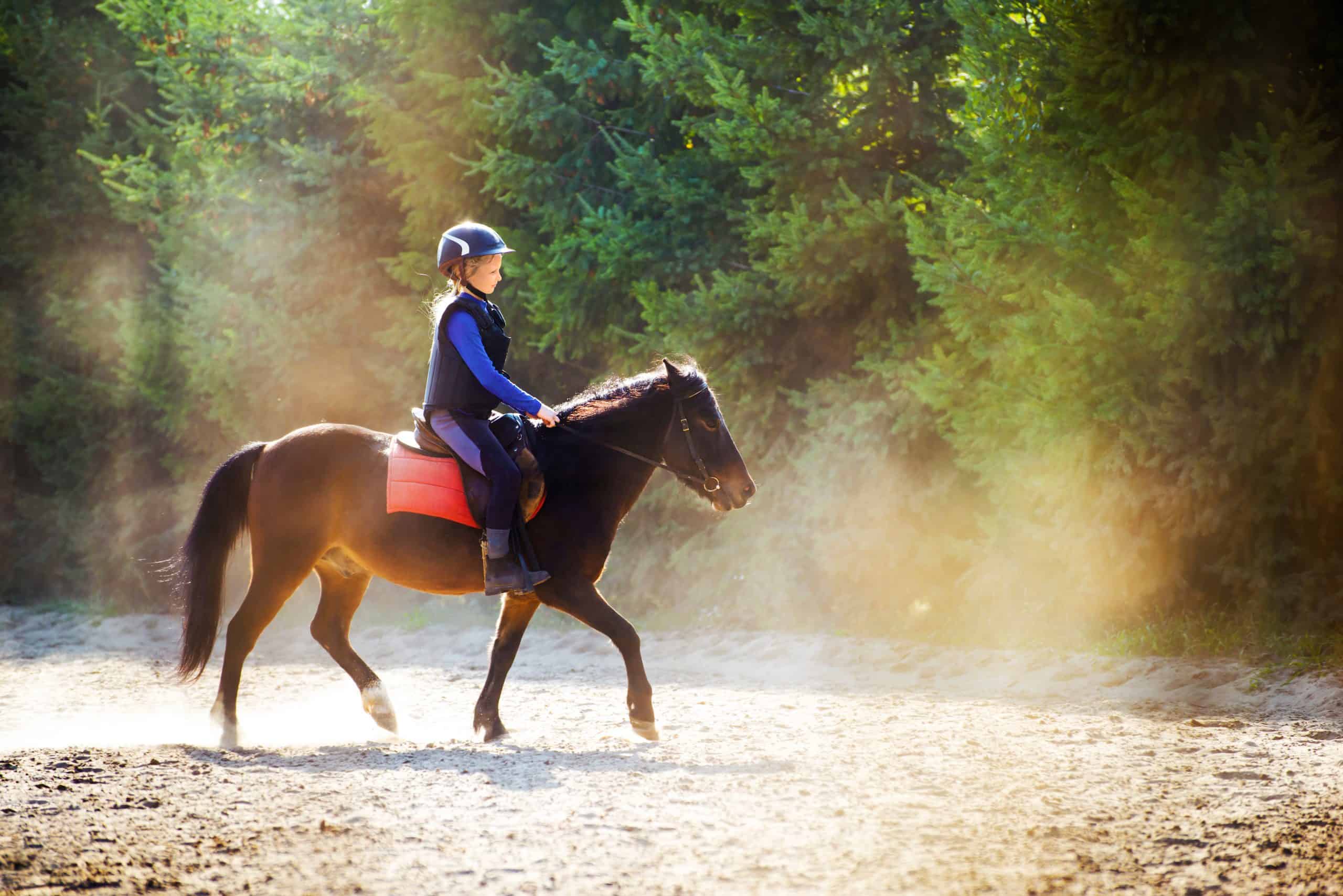 A young girl riding her pony during riding lesson, outside. Natural sun rays shining in dust during sunset.