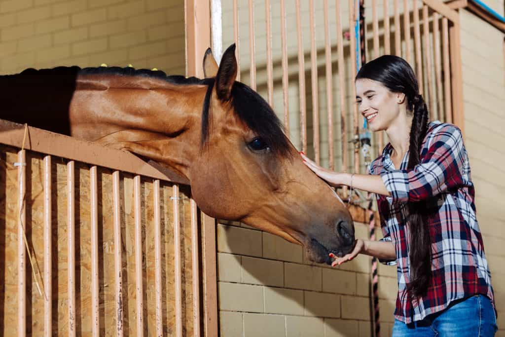 Top Horse Care Tips From A Vet Tech