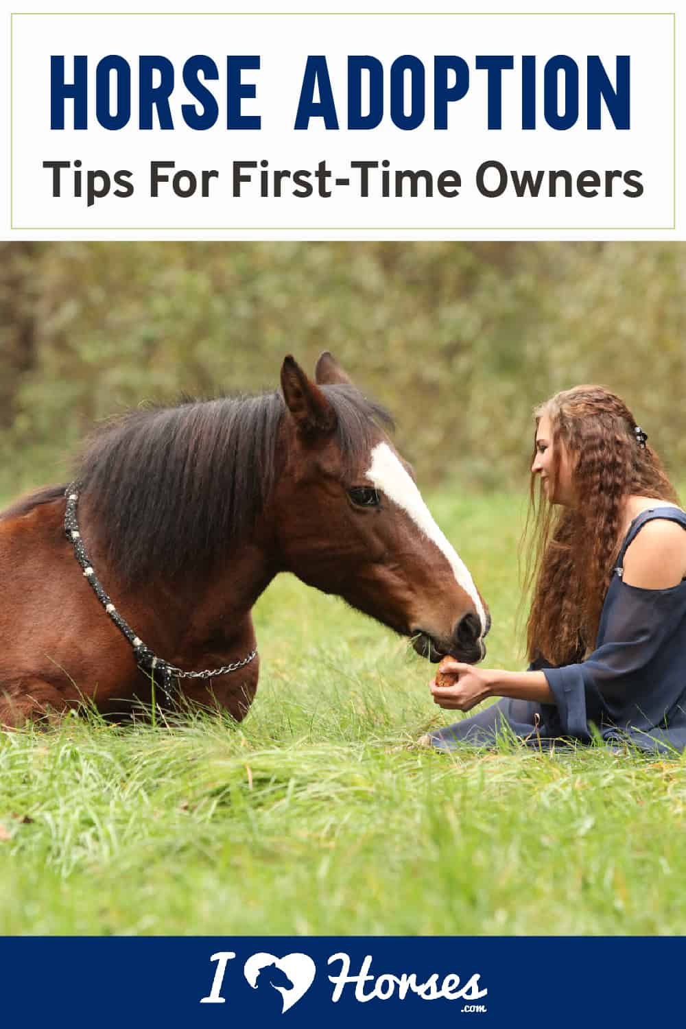 Horse Adoption Tips For First-Time Horse Owners