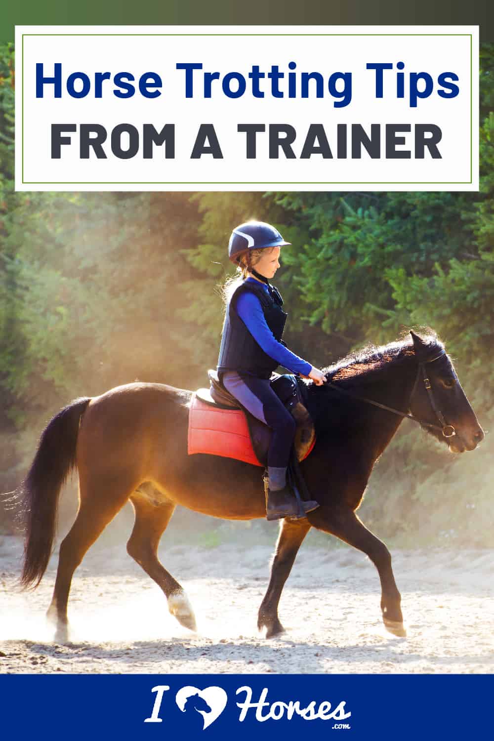 Horse Trotting Tips From A Trainer