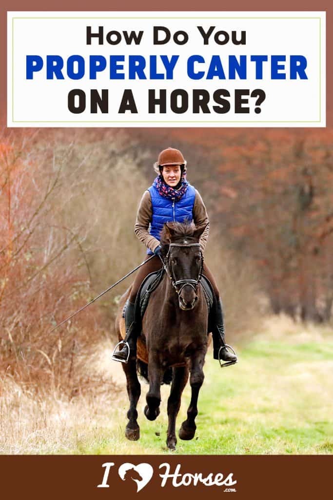 Learn How To Properly Canter On A Horse