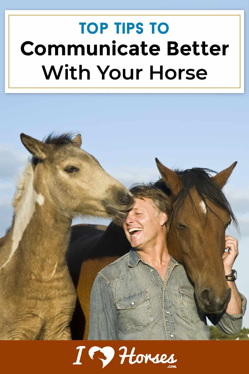 3 Key Ways To Communicate With Your Horse-02-01