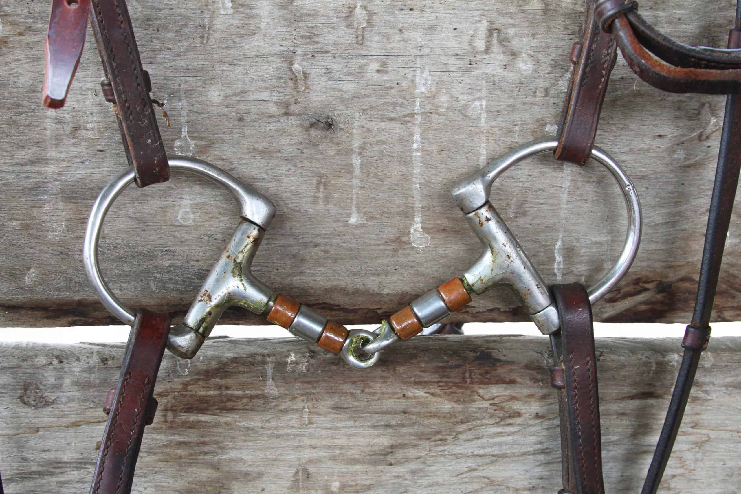 Closeup of horse D-ring snaffle bit with bridle straps