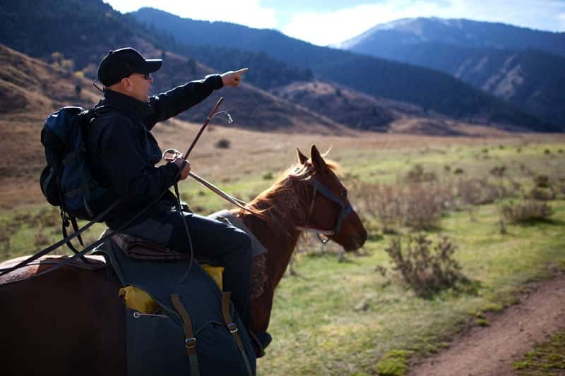 tips for those starting out in horseback riding
