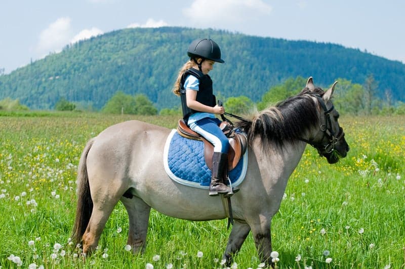 tips to get started in horseback riding