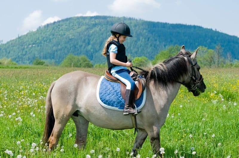 7 Best Types of Horseback Riding Jeans