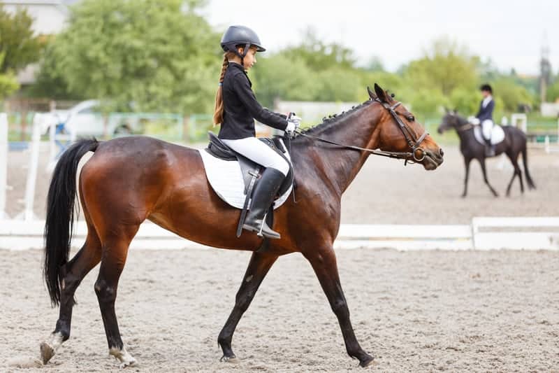 how to properly sit on a horse