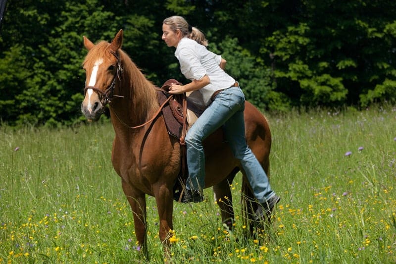 the proper way to sit on a horse