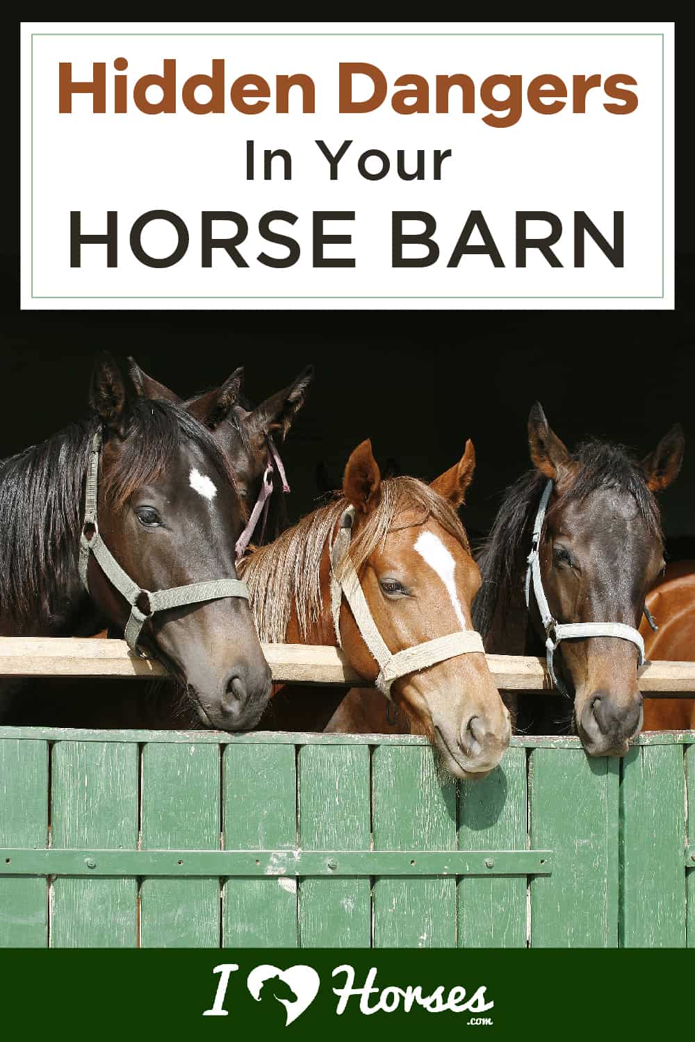 Hidden Dangers In Your Horse Barn-01-01