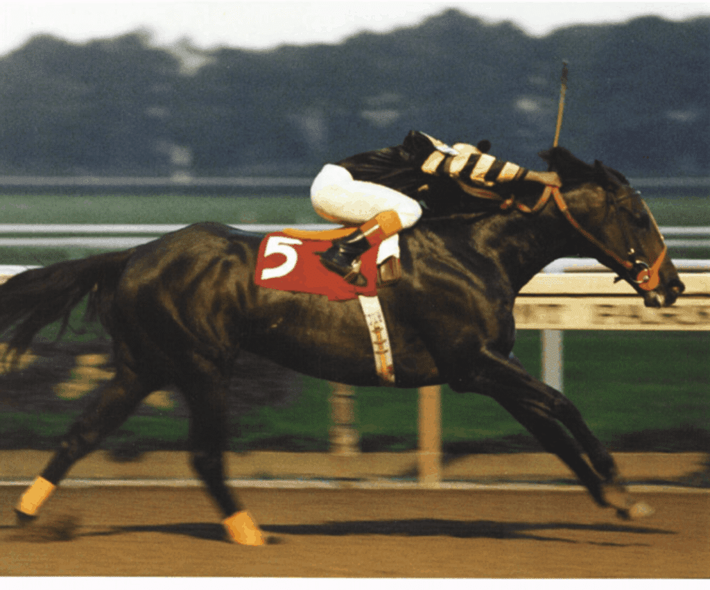 Seattle Slew