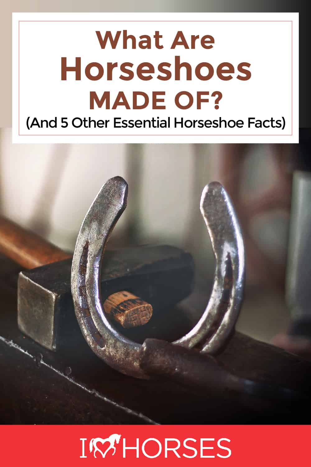 6 Essential Things To Know About Horseshoes