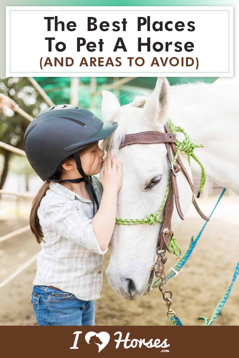Where Should You Pet A Horse
