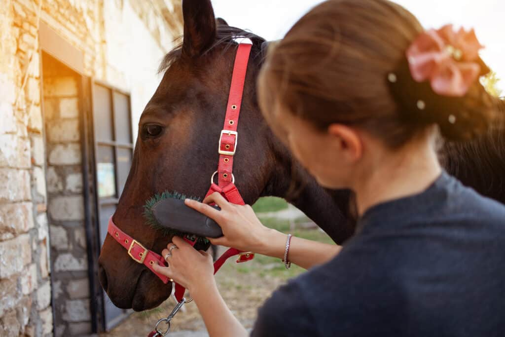 why you should talk to your horse every day