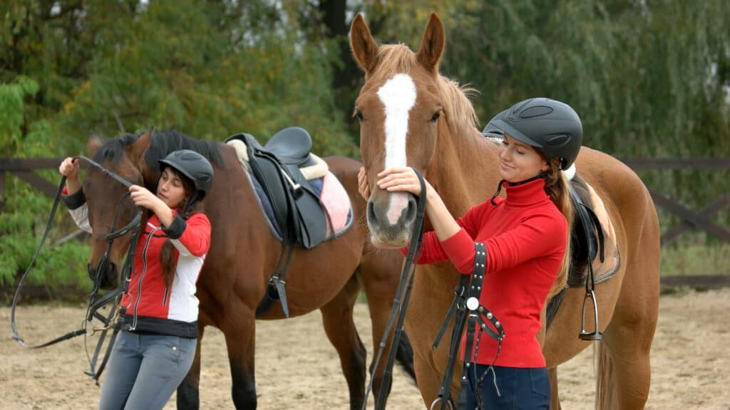 why you should talk to your horse