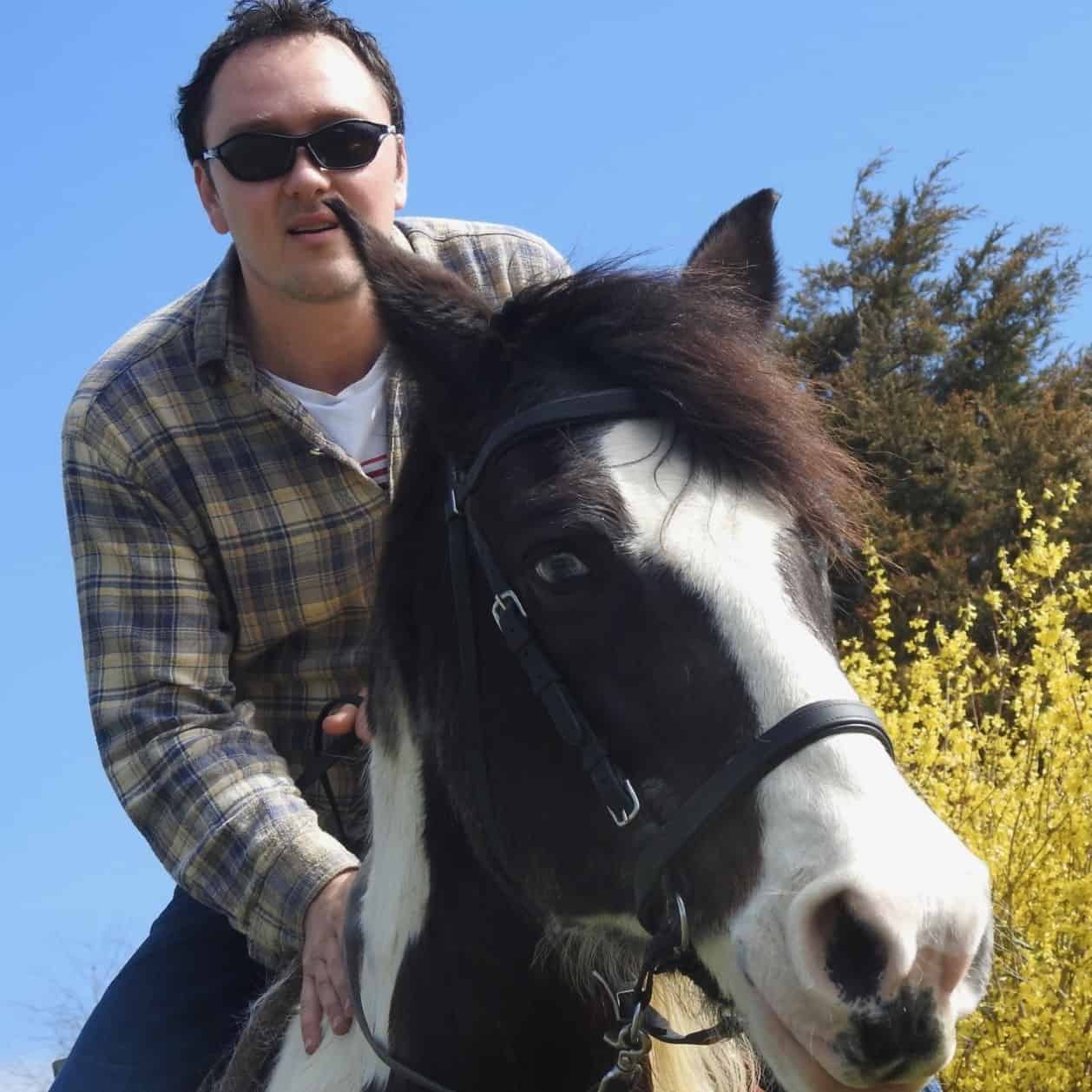 Rescued Tennessee Walking Horse Inspires Owner To Abolish Soring