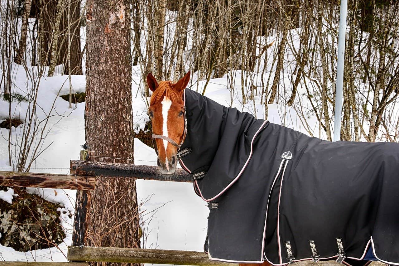 horse barn