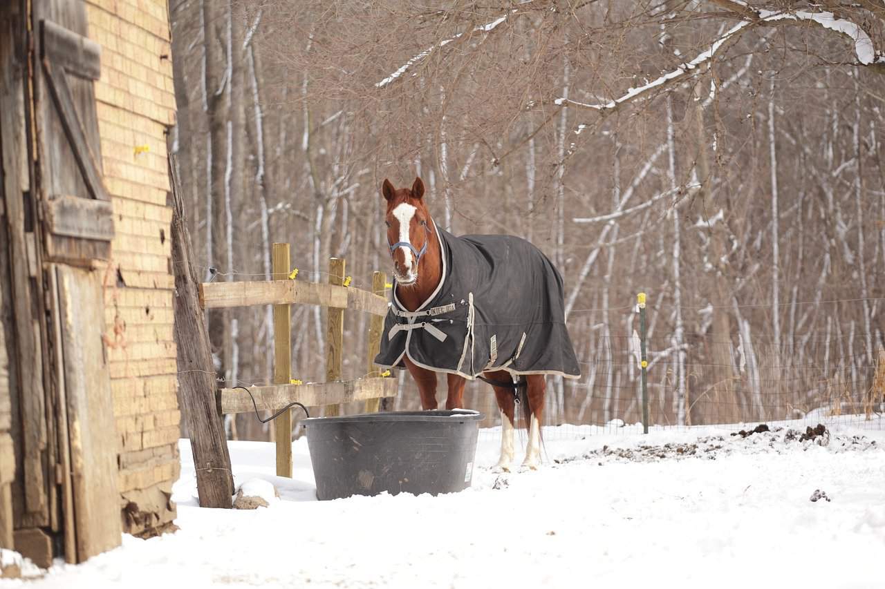 horse barn