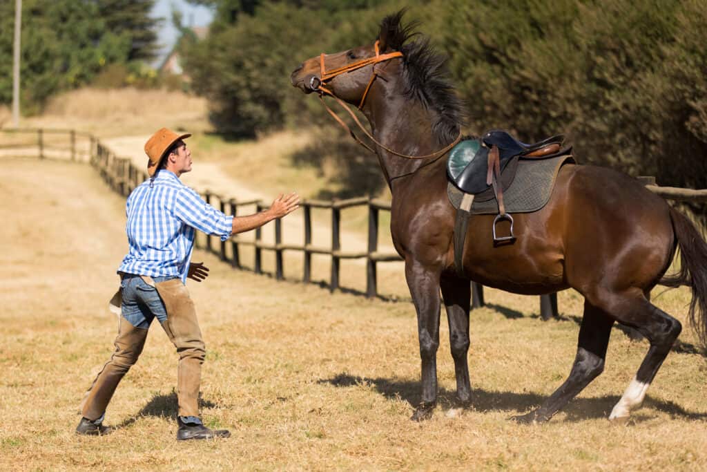 why do horses spook easily